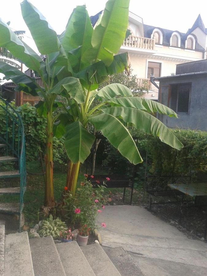 Guesthouse On Kabardinskaya 139A Gagry Zewnętrze zdjęcie